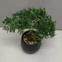 Artificial Bonsai Tree Juniper Faux Plants Indoor Fake Plants Decor with Ceramic Pots for Home Table Office Desk Bathroom Shelf Bedroom Living Room Farmhouse Decorations