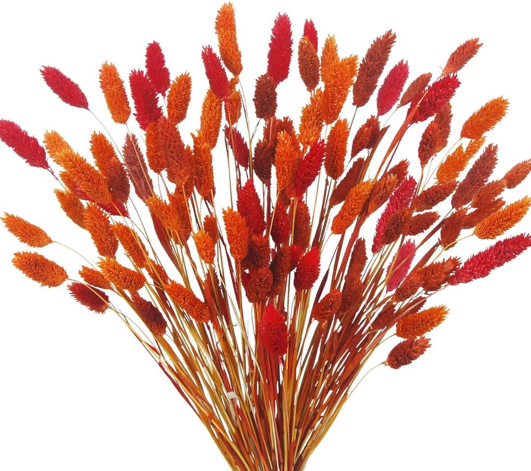 CISDUEO 100 Pcs Dried Fall Flowers Orange Natural Dried Pampas Grass Bunny Tails Bulk Decor Dried Flowers Bouquet Gem Grass for Autumn Vase Filler Floral Arrangements Boho Home Table Wedding Burnt Red