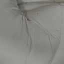 ELEMUSE King Mattress Topper for Back Pain, Extra Thick Mattress Pad Cover, Plush Soft Pillowtop with Elastic Deep Pocket, Overfilled Down Alternative Filling (White)