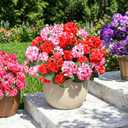 Fake Geraniums Artificial Flowers for Outdoors, 6 Bundles Silk Geraniums Flowers Realistic UV Resistant Fake Plants Faux Flowers for Outside Planters Front Door Garden Balcony Yard Porch Indoor, Mix