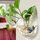 PRUGNA WallHanging Fish Bowl Acrylic WallMounted Plant Pot 1 Gallon Fish Tank 11.5inches Decoration Planter