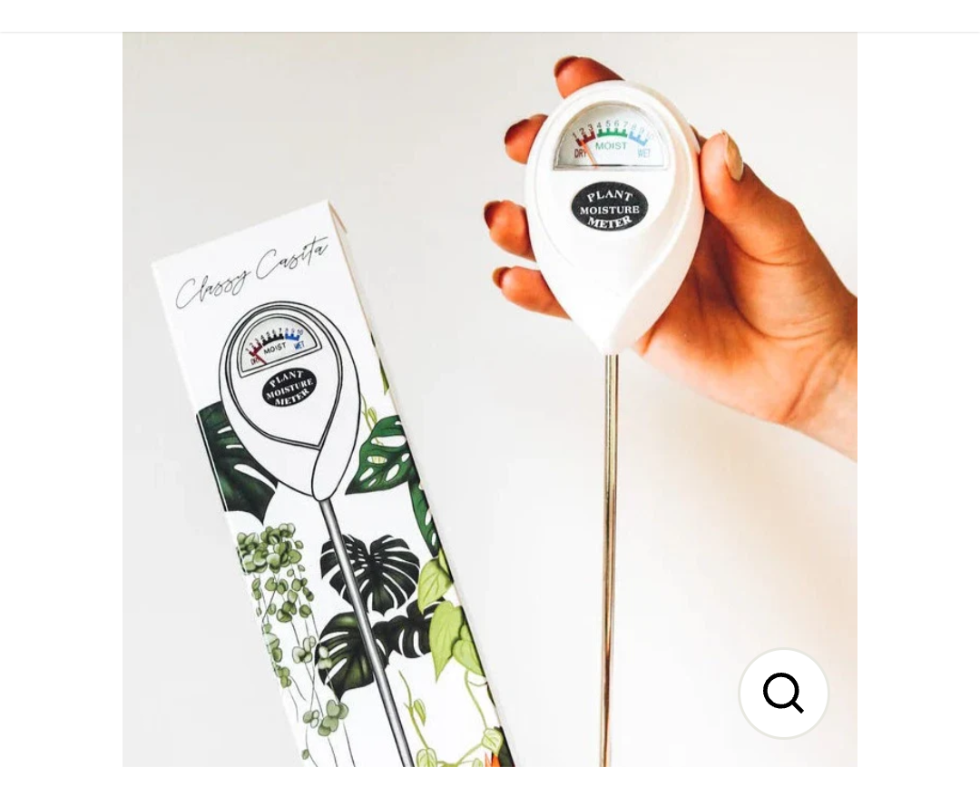 CLASSY CASITA | PLANT MOISTURE METER (WHITE)