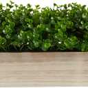 19in. Eucalyptus Artificial Plant in Decorative Planter