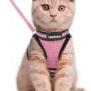rabbitgoo Cat Harness and Leash Set for Walking Escape Proof, Adjustable Soft Kittens Vest with Reflective Strip for Cats, Comfortable Outdoor Vest, Pink, L
