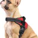rabbitgoo Dog Harness Small Sized, No Pull No Choke Pet Vest, Easy Wearing with One Buckle, Reflective, Adjustable Pet Harness with Molle for Walking, Training, Red, S