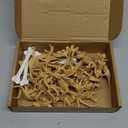 Sratte 24 Pcs Dinosaur Fossil Skeleton Dino Bones Sand Dig Colorful Foam Dinosaur Eggs and 4 White Plastic Bones Toys for Kids Science Play Dino Sand Halloween Party Decor Supplies(Light Brown)