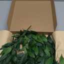 Ling's moment Italian Ruccus Greenery Stems Artificial Plants, 4Pcs 28" Tall Fake Branches Greenery, Realistic Texture Hanging Plant for Home Decor Wedding Bouquets Table Centerpieces, Room/Office