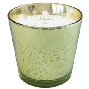 Hannas Mercury Garden Rain Jar Candle, 24 oz