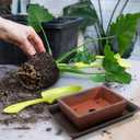 2 Pack Ceramic Bonsai Pots with Drainage Tray, 6" and 7" Unglazed Rectangle Bonsai Tree Planters, Bonsai Training Pots, Succulent Cactus Planter with Drainage Hole for Outdoor Indoor, Brown
