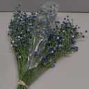 10 Pcs Baby's Breath Artificial Flowers Bulk 3 Branches Faux Baby Breath Plastic Flowers Fake Gypsophila Flower Arrangement for Crafts Fake Flowers Bouquet for Wedding Home Decor Blue Baby Breath