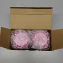 SEAMAGIC 2-Pack LED Pink Camping Lanterns, Portable Camping Lights, Outdoor Handled Lamps, Essential Emergency Lights for Power Outages, Hiking, Hurricane