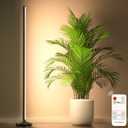 bedee LED Grow Light for Indoor Plants: 65 Inch Full Spectrum Plant Lights for Seed Starting with Timer and 10 Level Dimmable Standing Plant Growing Lamp for Greenhouse with Hanging Accessories