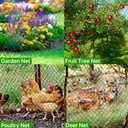 Bird Netting for Chicken Coop - 50x50ft Poultry Netting Over Chicken Run & Chicken Pen, Heavy Duty 2.4 Mesh Garden Net for Blueberry Bushes, Fruit Trees and Vegetable Against Birds, Deer, Squirrels