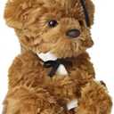 Aurora Commemorative Graduation Wagner Bear Stuffed Animal - Soft Keepsake for Graduates - A Gift of Affection to Express Congratulations - Black Cap 7 Inches