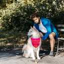 4 x Dog Birthday Bandana Girl Pink, Durable Triangle Reversible Scarf Bibs Handkerchief for Puppy Pet, Dogs Party Accessories for Small Medium Large