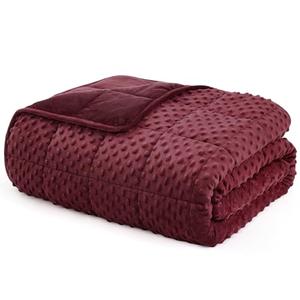 L'AGRATY Weighted Blanket for Adult - 60"x80" 22lbs Minky Dots Heavy Blanket with Glass Beads Soft Breathable for All-Season Summer Fall Winter Thick Comfort for Sleeping