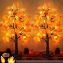 2 Pack 24 Inch Prelit Fall Maple Tree Fall Thanksgiving Decorations with 48 LEDs Battery Operated Timer Lighted Acorn Maple Artificial Tabletop Light Up Tree for Home Indoor Thanksgiving Table Decor
