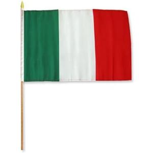 One Dozen Italy 12x18in Stick Flags.
