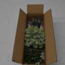 Winlyn Set of 3 Assorted Artificial Succulent Plants in White Concrete Pots Faux Aloe Hops String of Pearls Potted Plants Small Fake Plants for Home Garden Office Desk Counter Shelf Windowsill Decor