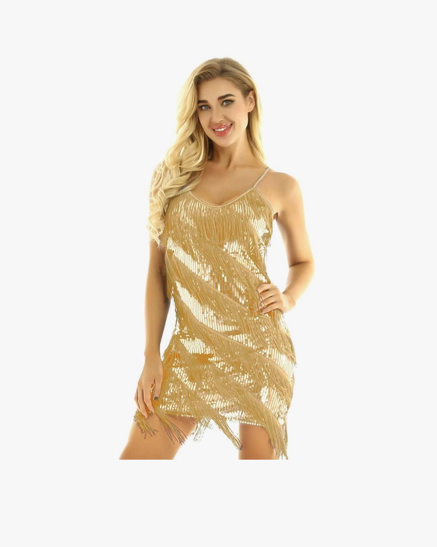 Women's Sequins Tassel Dance Costume Samba Rumba Tango Dance Dress 1920s Flapper Cocktail Party Dress Size S