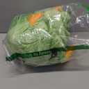 Wearable Dinosaur Blanket Hoodie Animal Sleeping Bags for Kids Adult Soft Cozy Dinosaur Gifts(M fit for 4'9"-5'1")