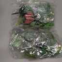 WILLBOND 50 Pcs Bulk Mini Artificial Succulents Plants Assorted Unpotted Realistic Plants Fake Textured Succulent Picks Realistic Plastic Cactus Stems for Succulent Garden Home Decor (Normal Style)