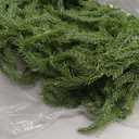 9Ft Christmas Garland, Real Touch Norfolk Pine Garland Realistic Christmas Artificial Garlands Faux Greenery Garland for Stairs Table Mantle Fireplace Indoor Outdoor Decor