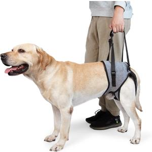 Dotoner Dog Sling for Large Dogs Hind Leg Support to Help Rehabilitate The Hind Limbs of Elderly Dogs with Weak Hind Legs Disabilities and Injuries Dog Harness Helps Arthritis ACL RecoveryS,Grey (SWaist:16-19",Weight:22-35lb)