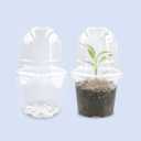 Transparent Nursery Pots 4Inch with Humidity Domes for Seeds Starting, Clear Plastic Plant Pots with Drainage Holes (4Inch, 30Pcs,Clear Pots with Lids) (Clear Pots With Domes-30p)
