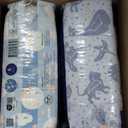 Clean Conscious Overnight Diapers | Up to 12 Hours of Protection | Hypoallergenic + Fragrance Free | Cozy Cloud + Star Signs | Size 6, 34 Count Club Box