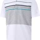 M MAELREG Golf Shirts for Men Short Sleeve Regular Fit Moisture Wicking Performance Casual Striped Print Mens Polo Shirts (XL)