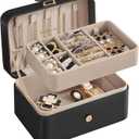 SONGMICS Jewelry Organizer Box, Travel Jewelry Case, 2-Layer Travel Case for Earrings, Necklaces, Bracelets - Portable Jewelry Storage with Large Capacity, Gift Idea, Ink Black UJBC166B01