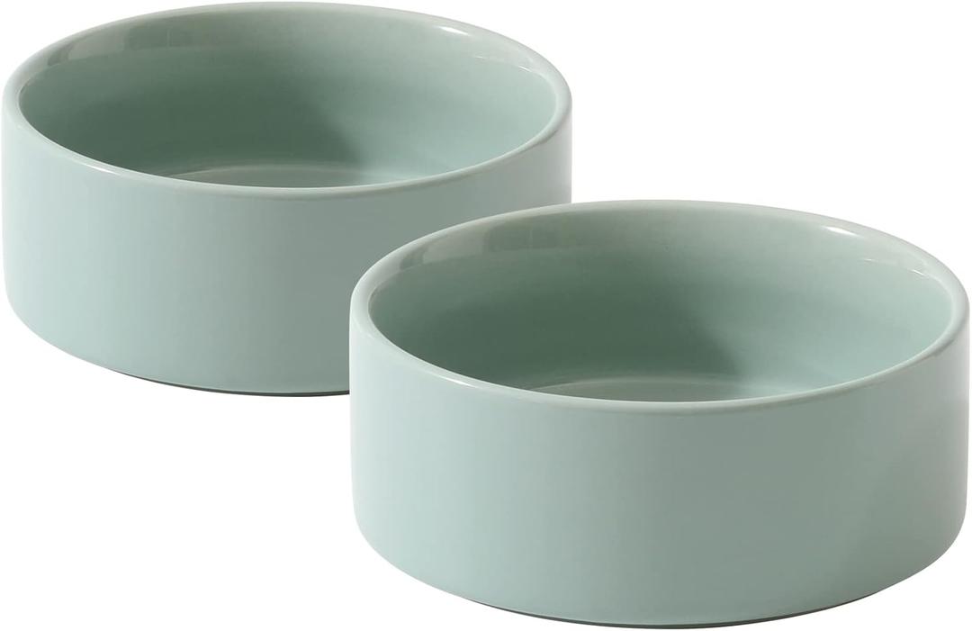 Havniva Cat Bowls Water Bowl Set of Two, 5.1 Ceramic Cat Food and Water Bowl Whisker Friendly Pet Food Bowls for Indoor Cats, Wide Cat Water Dish Prevent Whisker Fatigue Non Slip Cat Feeder (2 x Bowl - Light Green)