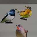 HUYIENO 5PCS Vivid Metal Birds Fence Decor Color Painted Outdoor Garden Natural Bird 2D Sculptures for Outdoor Fences, Patio, Garden, and Bird Lovers