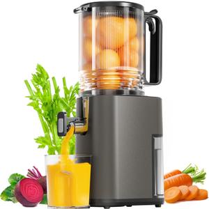 Cold Press Juicer, 5.5inch Wide Feed Chute Juicer Machine, Slow Masticating Juicer for Whole Vegetables & Fruits, Gray