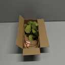 4Pcs Artificial Flowers Bouquets 23 Inch Fake Fall Flower Green Long Stem Autumn Faux Banksia Flowers Floral Arrangements for Home Bedroom Table Wedding Party Boho Decor