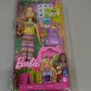 Barbie It Takes Two Stacie Doll & Accessories, Camping Playset with Doll, Pet Tent, Puppy, Sticker Sheet & Accessories (Multi Color)