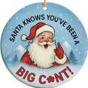 2025 Christmas Ornament  Adult Humor Ornament, Funny Naughty Christmas Decoration, Inappropriate Holiday Gag Keepsake Gift for Adults