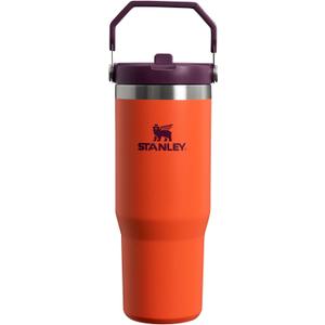 Stanley IceFlow Flip Straw Tumbler with Handle 30 oz | Twist On Lid and Flip Up Straw | Leak Resistant Water Bottle | Insulated Stainless Steel |BPA-Free | Tigerlily Plum