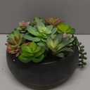 8inch Artificial Succulent Plants in Pots,Large Fake Succulents with Black Ceramic Pot for Home Office Desk Bathroom Coffee Table Decor