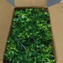 Dolicer 5 Packs Faux Eucalyptus Greenery Garland, 30FT Artificial Eucalyptus Leaves Vine, Fake Hanging Garlands Wedding Backdrop Arch Wall Table Party Decor (Green)