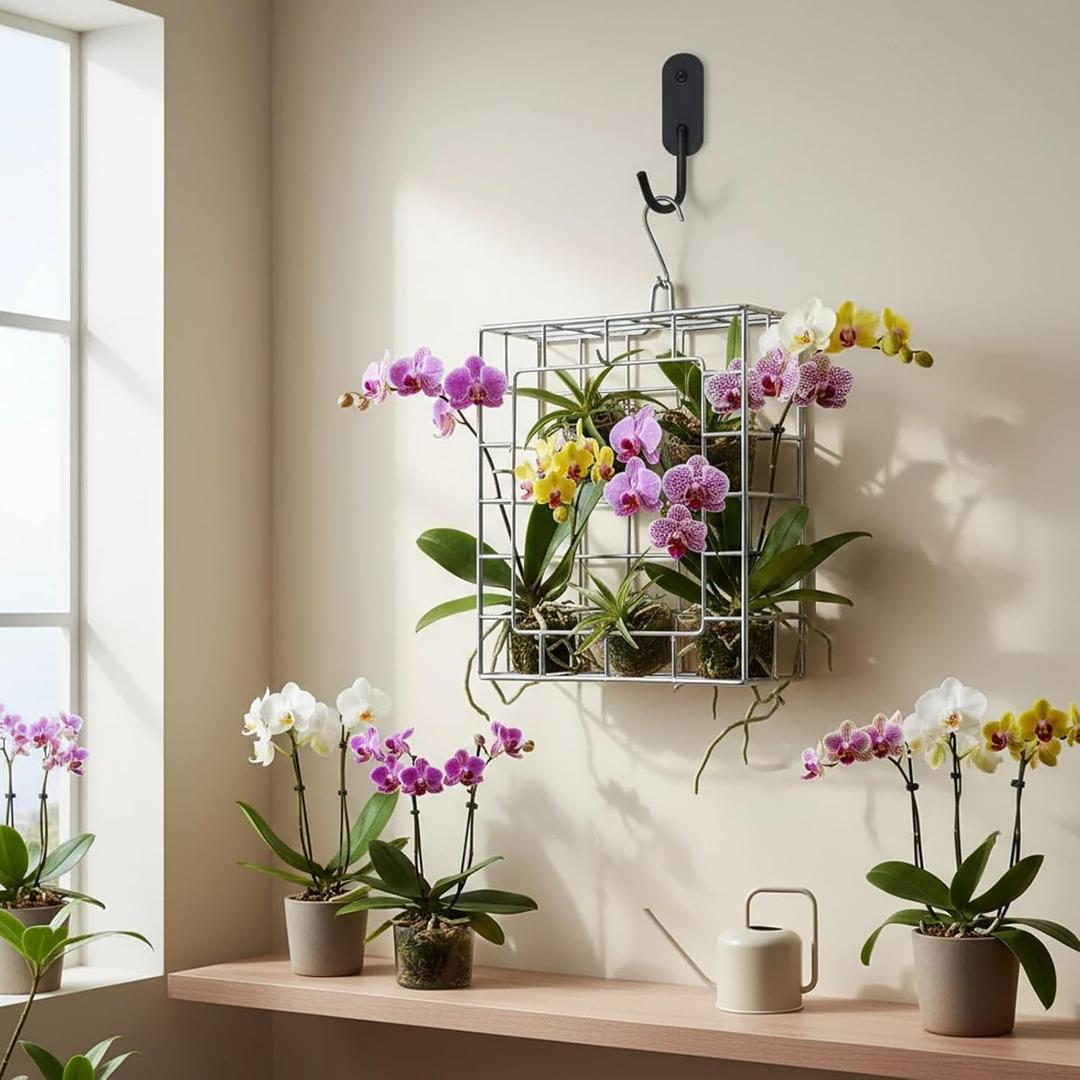 Staghorn Fern Mount Kit - Rustproof 304 Stainless Steel Vertical Hanging Basket for Orchids & Outdoor Plants, Wall Planter Holder Indoor Garden (10.6 x 10.2 x 1.96 Inch)