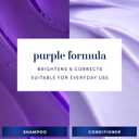 Hair Biology Biotin-Infused Purple Shampoo and Conditioner Set for Grey Hair, Anti-Brassiness, Moisturizing, Color-Safe, Silver & Glowing, Corrects Yellow Tones, 12.8 Fl Oz Each, 2 Pack