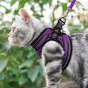 Rabbitgoo Cat Harness and Leash Set for Walking Escape Proof, Adjustable Soft Kittens Vest with Reflective Strip for Cats, Comfortable Outdoor Vest, Purple, L