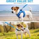 SCENEREAL Small Dog Harness and Leash Collar Set, Step in Soft Light Puppy Vest, Breathable Pet Harness for  Dogs, No Choke Reflective for Safe Outdoor Walking, Blue Shark M