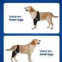 Dog Knee Brace, Dog ACL Brace for Front Torn and Back Hind Rear Legs ACL Tear, Knee XL