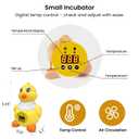 Incubators for Hatching Eggs, Small Egg Incubator with Temperature Control, Air Circulation & Viewing Window, 6 Eggs Poultry Hatcher for Chicken Duck Quail Pigeon Pheasant, Ideal for Home Lab Kids