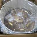 20'' Gold Boho Rattan Fandelier Ceiling Fan with Light and Remote Control, Medium