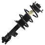 Front Struts w/Coil Spring (Pair)