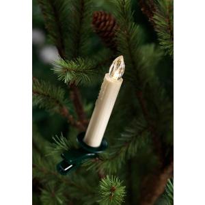 Melrose 65440 Plastic LED Tree Taper Candle, Set of 12